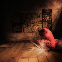 La ley de Benedetti; Rana roja venenosa.. Fine Arts, Set Design, Sculpture, and Photograph project by Juan José Rojas - 08.15.2016