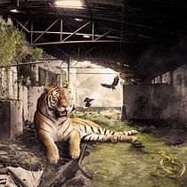 Fotomontaje "La Cueva Del Tigre". Collage, Design, Graphic Design, and Photograph project by Héctor Vela Rivas - 08.30.2016