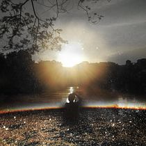 Mi Proyecto del curso: Fotografía para la imaginación. Collage, and Photograph project by Laura López - 09.06.2016