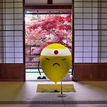 Japanese Baloom. 3D, Photograph, and Traditional illustration project by José María Fernández Sánchez - 12.13.2016