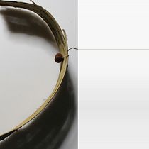 Hecho de desechos. Design, Design gráfico, Fotografia, e Gestão de design projeto de Carlos Javier García García - 01.01.2017