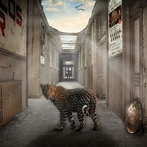 Mi Proyecto del curso: Secretos del fotomontaje y el retoque creativo. Graphic Design project by Carlos Rodriguez - 01.03.2017