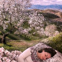 Mi Proyecto del curso: Secretos del fotomontaje y el retoque creativo. Photograph project by Rosa Duran - 02.05.2017