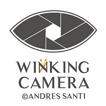 Mi blog de viajes y fotografía con el curso para WordPress. Projekt z dziedziny Tworzenie stron internetow, ch i Web design użytkownika Andres Santi - 16.02.2017