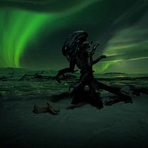 Mi Proyecto del curso: Last of each specie. Un progetto di Fotografia di Miguel Padilla - 15.02.2017