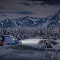 Mi Proyecto del curso: Fotografía creativa en estudio con modelos a escala. Un progetto di Fotografia di Mariano Fernández-Lázaro - 15.03.2017