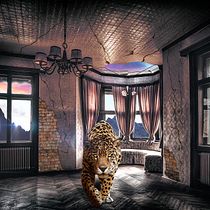 Jaguar House. Design project by Matías Adaro - 04.17.2017