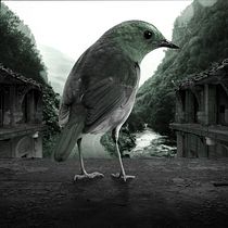 Mi Proyecto del curso: Secretos del fotomontaje y el retoque creativo. Graphic Design project by gsepulveda92 - 05.31.2017