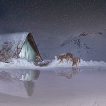 Peligro en la nieve.. Un progetto di Fotografia e Design di María Gracia Morales Jiménez - 10.07.2017