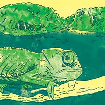Camaleón en la selva. Ilustração tradicional projeto de Martín Salas - 30.07.2017
