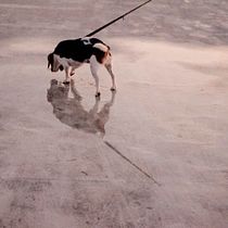 Mi Proyecto del curso: Nightcrawler. Photograph project by Ava Díaz - 09.04.2017