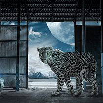 Leopardo luz de luna. Graphic Design project by Miguel Guasch - 10.07.2017
