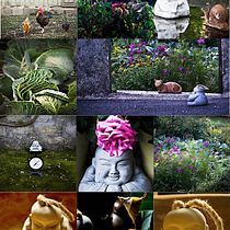 El camino de Michi @wayofmichi. Un progetto di Fotografia e Ritocco fotografico di Rocío - 08.10.2017