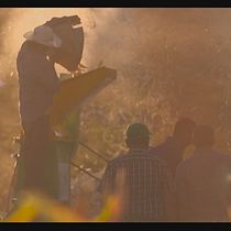Mi Proyecto del curso: Producción y edición de vídeo con cámara DSLR y Adobe Premiere. Un projet de Cinéma, vidéo et télévision de Marlon Peña - 08.03.2018