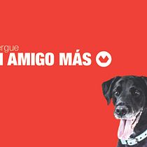 Mi Proyecto del curso: Creatividad publicitaria para todos los públicos (Un amigo Más). Un projet de Design graphique , et Publicité de Julian A Bello P - 23.01.2018