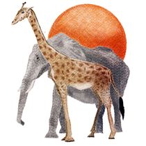 Ilustración digital con lápices de colores. Ilustração tradicional projeto de Begoña Seoane - 28.01.2018