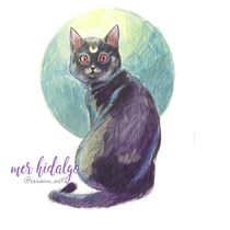 Mi Proyecto del curso: Ilustración digital con lápices de colores. Ilustração tradicional projeto de Mer Hidalgo - 02.03.2018