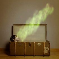 Hora de partir. Un progetto di Fotografia e Ritocco fotografico di mmendezvigo - 27.03.2018