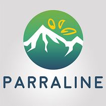 PARRALINE - TU VENTANA DIGITAL. Un progetto di Marketing di Jonathan Godoy Sanchez - 11.04.2018