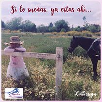 Mi Proyecto del curso: Si lo sueñas, ya estas ahí.... Br, ing, Identit, and Design project by Lisbeth Dame - 04.13.2018