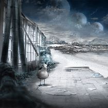 Gaviota en la playa Ein Projekt aus dem Bereich Traditionelle Illustration von Bonaria Staffetta - 15.04.2018