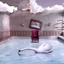 Soledad encantada.. Photograph, Post-production, and Photo Retouching project by Paula Romer - 12.29.2018