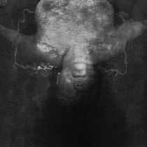Mi Proyecto del curso: Fotografía para la imaginación. Photograph project by Eliana Gómez Caicedo - 07.21.2018