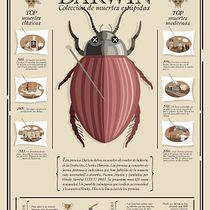 Mi Proyecto del curso: Infografía antibostezos. Un proyecto de Diseño gráfico de lomito - 15.05.2020