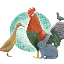 Mi Proyecto del curso: Ilustración digital con lápices de colores. Artes plásticas, Desenho artístico e Ilustração digital projeto de Alba Herrero - 11.01.2018