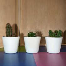 Cactus Garden. Product Photograph project by verogayol - 08.16.2018