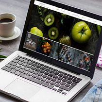 Mi Proyecto del curso: Creación de una web profesional con WordPress. Projekt z dziedziny Web design użytkownika Michelle Grandón - 24.08.2018