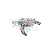 Mi Proyecto del curso: Ilustración digital con lápices de colores. Desenho, Ilustração tradicional e Ilustração digital projeto de Judit Dluna - 03.09.2018