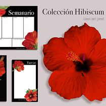 Mi Proyecto del curso: Ilustración botánica con acuarela. Un projet de Illustration traditionnelle de Llanos Part Jornet - 08.09.2018
