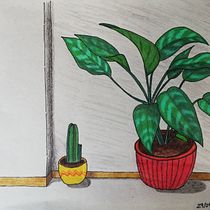 Mi Proyecto del curso: Dibujo para principiantes nivel -1. Drawing project by Claudia Molina - 10.01.2018