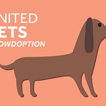 CROWDOPTION, una plataforma de apoyo conjunto.. Un progetto di Design di Jonhatan Nieto - 02.10.2018