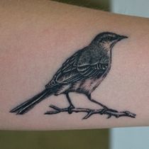 tattoo ave. Een project van  Tekening y  Ontwerp van Alejandro Rodriguez - 05.10.2018