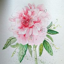 Acuarelas. Un progetto di Disegno artistico e Illustrazione tradizionale di Carla Perrotta - 31.10.2018