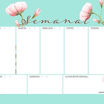 Ilustración botánica con acuarela. Artes plásticas, Ilustração tradicional, Pintura, Desenho, Pintura em aquarela e Ilustração botânica projeto de Sonia Salvador Luna - 04.11.2018