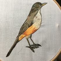 Mi Proyecto del curso: Pintar con hilo: técnicas de ilustración textil. Bordado projeto de Sonia Real - 18.02.2019