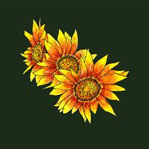 Mi Proyecto del curso: Ilustración botánica con acuarela. GIRASOLS. Ilustração tradicional projeto de Carme Farrerons - 08.12.2018