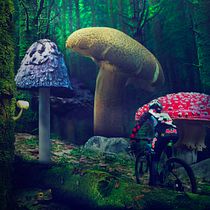 Mi Proyecto del curso: Secretos del fotomontaje y el retoque creativo. 2D Animation, Collage, Design, Graphic Design, Set Design, Digital Marketing, and Photo Retouching project by Alejandro Alia - 12.14.2018