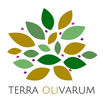 Terra Olivarum: Aceite de Oliva Virgen Extra . Projekt z dziedziny Web design użytkownika erika_ergueta - 04.02.2019