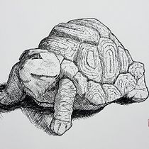 Mi Proyecto del curso: De principiante a superdibujante. Un proyecto de Ilustración tradicional de Claudio Stepffer - 12.01.2019