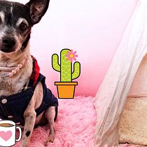 Mi Proyecto del curso: Fotografía profesional para Instagram. Un proyecto de Fotografía con móviles y Fotografía de retrato de Maria Bohorquez Quintanilla - 29.01.2019