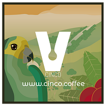 CINCO. . Projekt z dziedziny Br, ing i ident, fikacja wizualna, Projektowanie graficzne i Web design użytkownika Alvaro Pérez - 10.01.2019