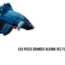 Copywriteando. Br, ing, Identit, Cop, writing, and Advertising project by Javi Prieto Prytz - 02.05.2019