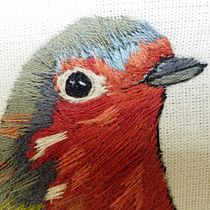 Mi Proyecto del curso: Pintar con hilo: técnicas de ilustración textil. Costura projeto de Abdiel Poblano - 10.02.2019