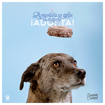 #sweetnessoverload. Cop, writing, Photograph, T, and pograph project by Gustavo Rodriguez - 02.10.2019