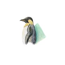 Pingüino digital. Ilustração digital projeto de miriamsanz23 - 14.02.2019