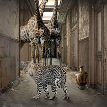 Mi Proyecto del curso: Secretos del fotomontaje y el retoque creativo. Animation, Creativit, Photograph, and Fine-Art Photograph project by P Isabel Chs - 03.10.2019
